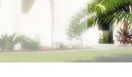 Villa Carpe Diem ...::: START :::...